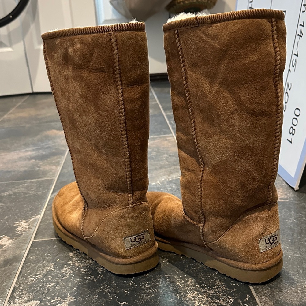 UGG Chestnut Suede Tall Boots